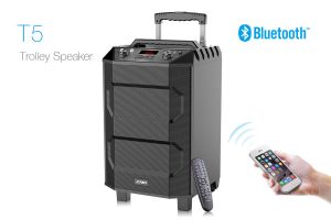 Аудио система Fenda T5 33W, Микрофон, Bluetooth, USB